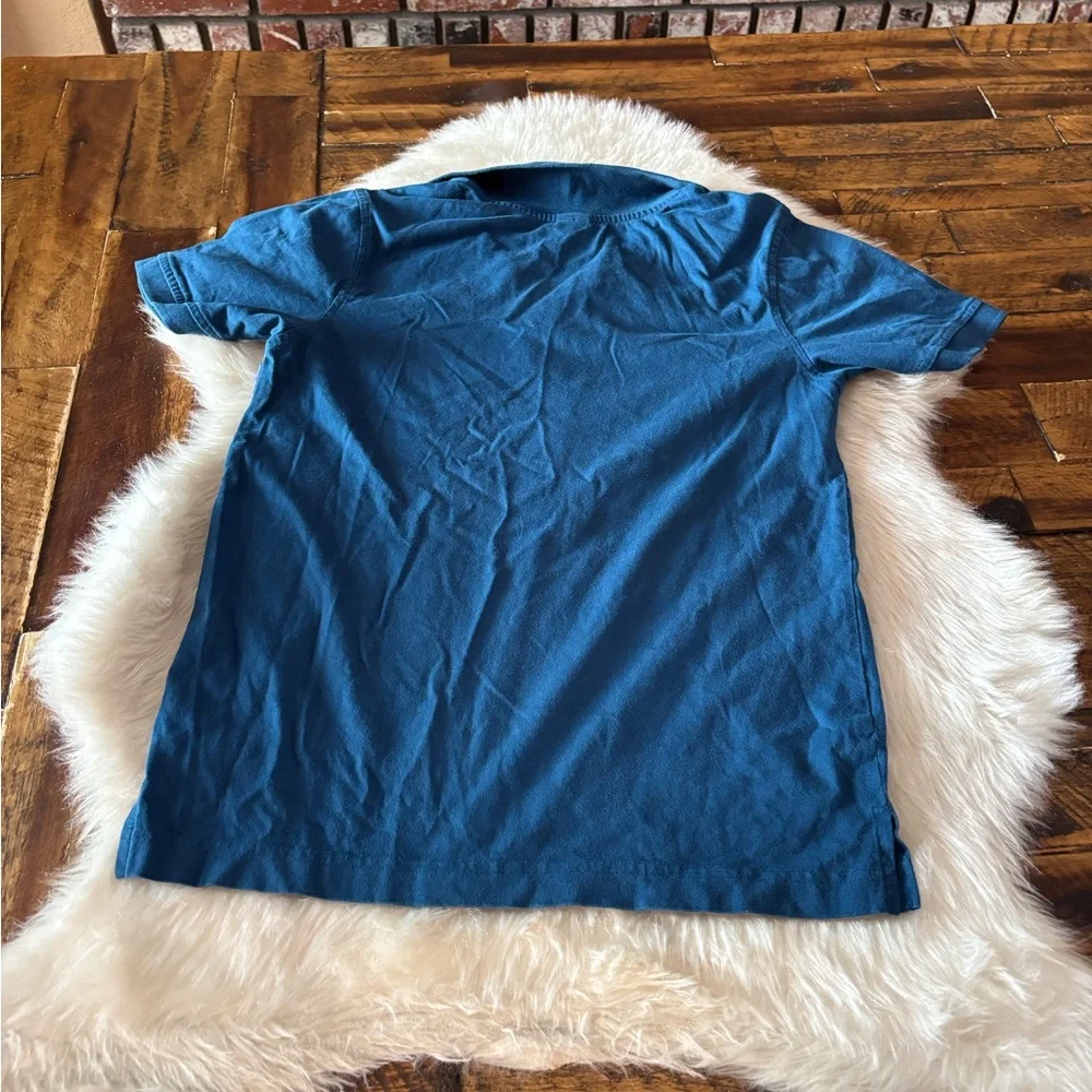 Gymboree Blue Kids Shirt with Graphic